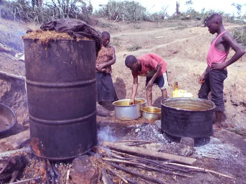 Production d'huile de palme